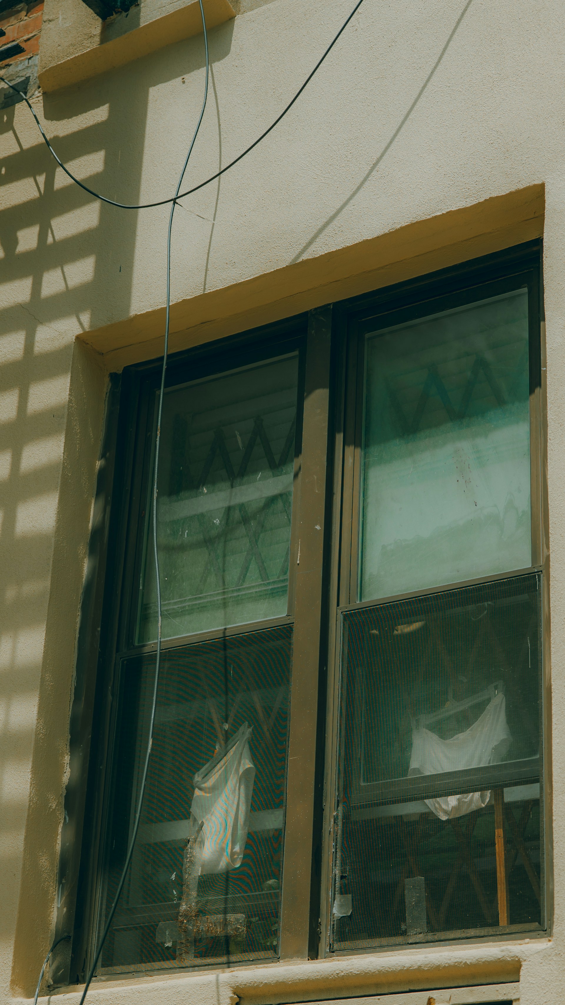 Professional window installation service
